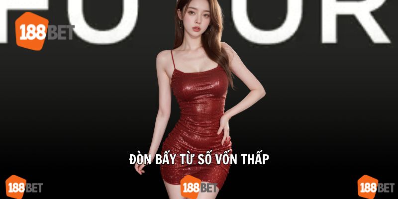 Đòn bẩy từ số vốn thấp